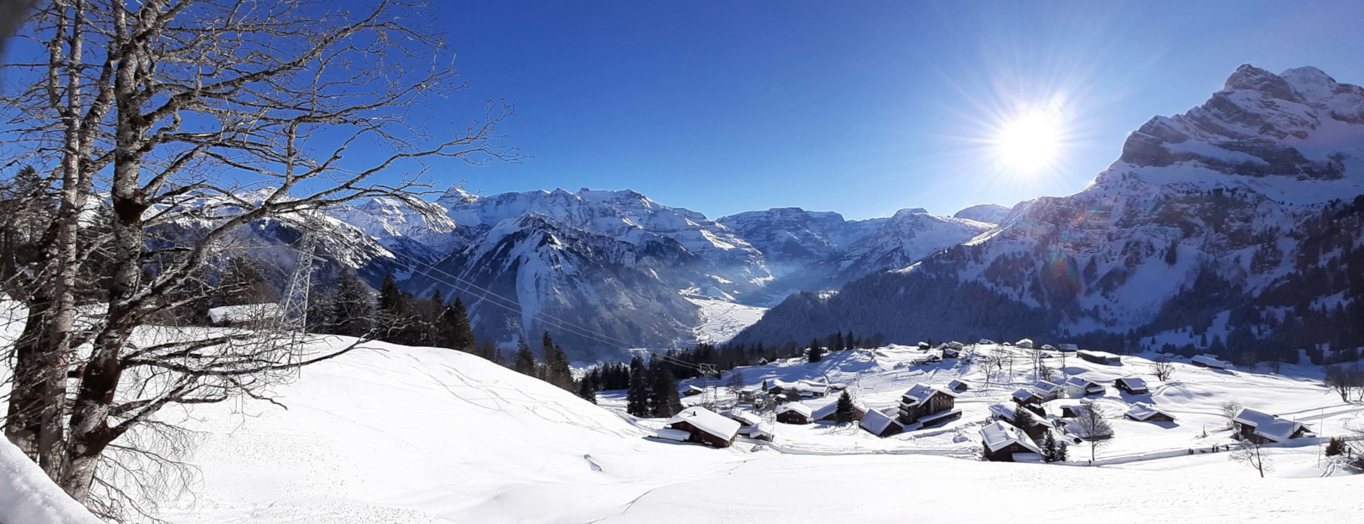 Winter